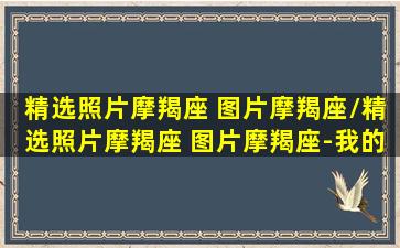 精选照片摩羯座 图片摩羯座/精选照片摩羯座 图片摩羯座-我的网站